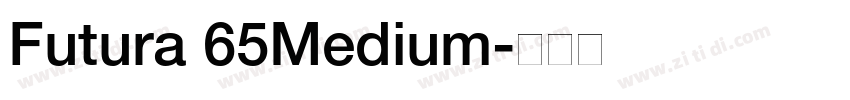 Futura 65Medium字体转换
